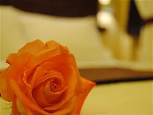 *** Bed & Breakfast Eurohome Signa Italië